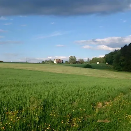 Lägenhet Wunderschoenes In Oberwaldbach