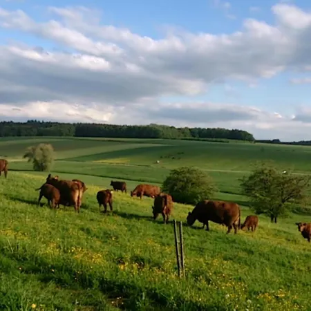 Fuchsbau Erdgeschoss Burtenbach